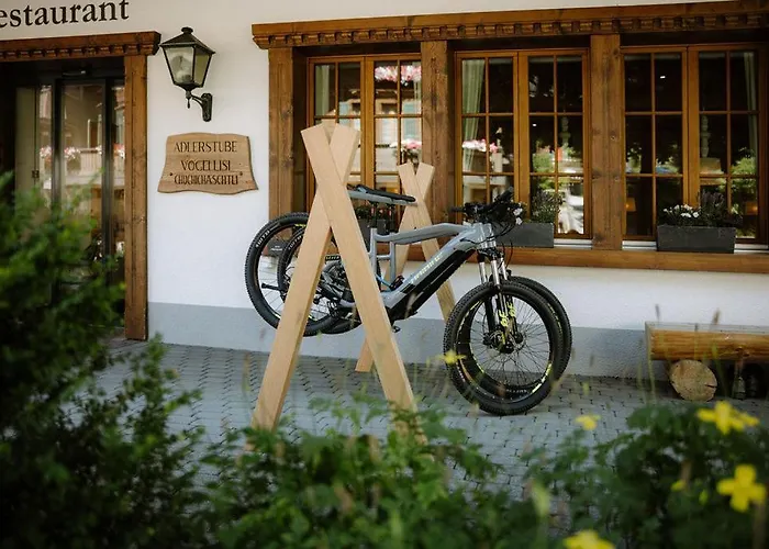 Adler Adelboden
